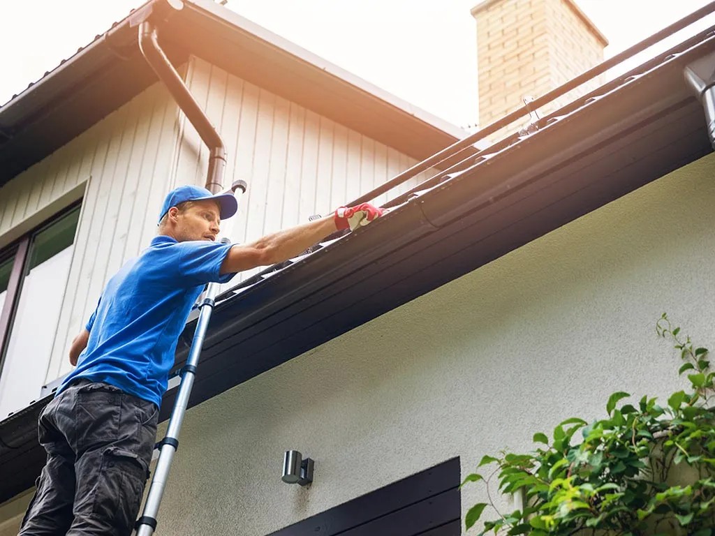 professional gutter cleaning on ladder professional gutter cleaning on ladder